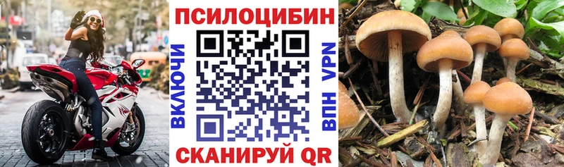 Галлюциногенные грибы Psilocybine cubensis Мантурово
